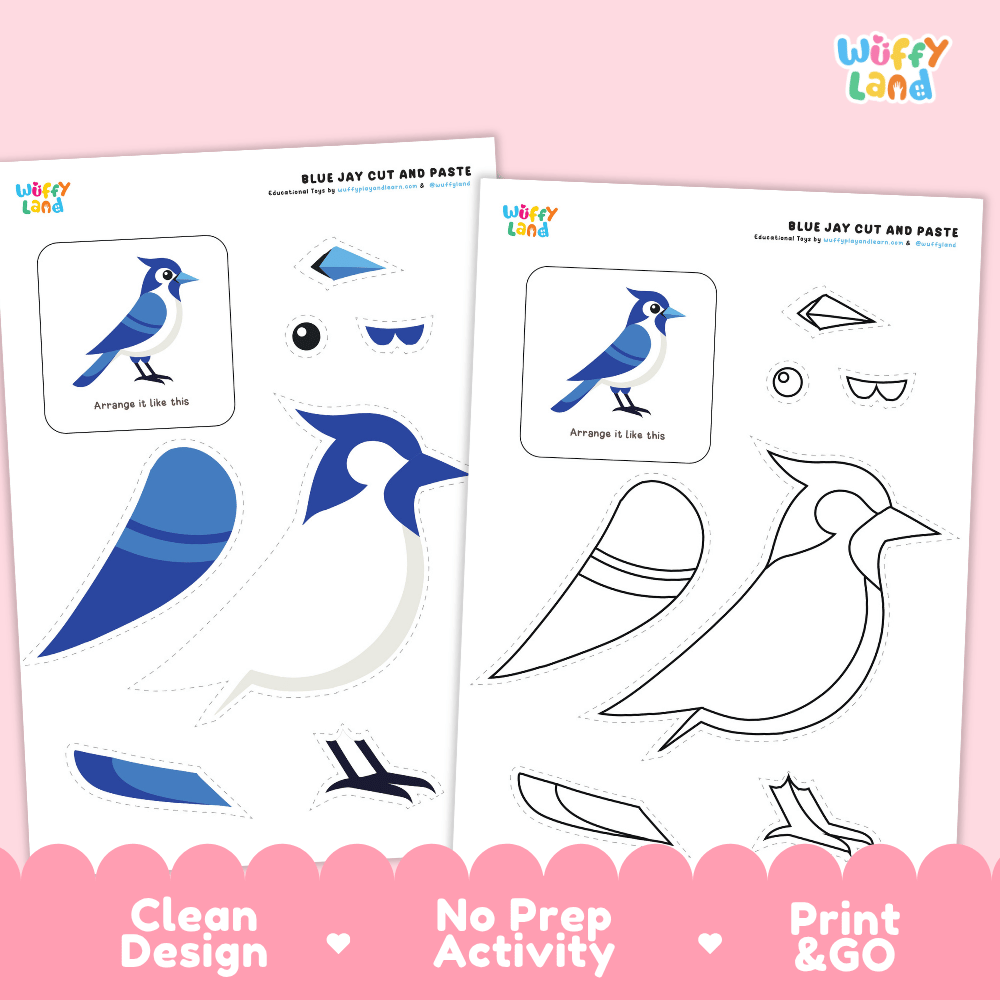 Blue Jay Cut and Paste Craft and Coloring Pages Activity Worksheets