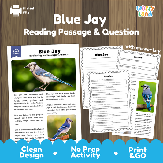 Blue Jay Reading Passage and Comprehension Questions with Answer Key