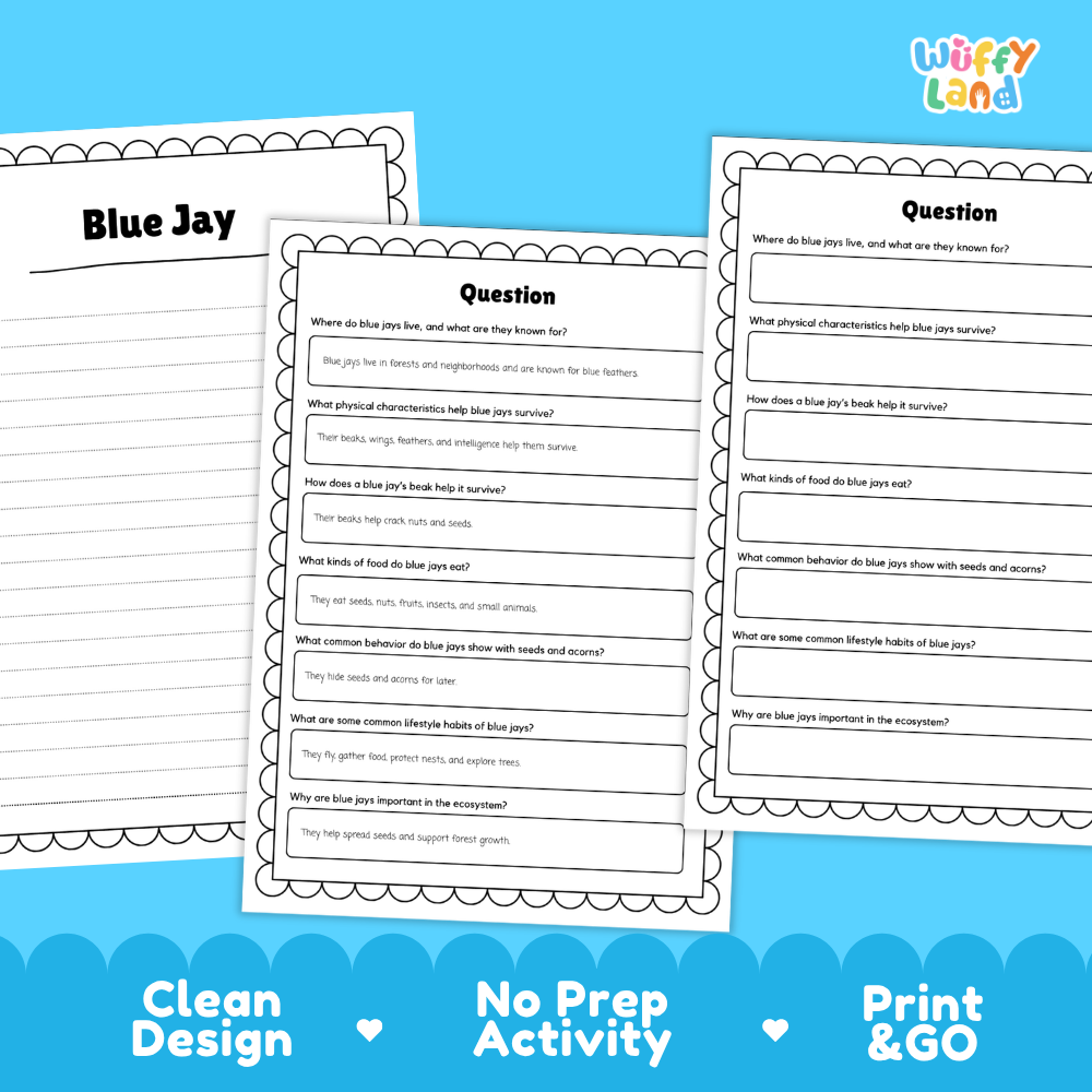 Blue Jay Reading Passage and Comprehension Questions with Answer Key