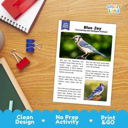 Blue Jay Reading Passage and Comprehension Questions with Answer Key