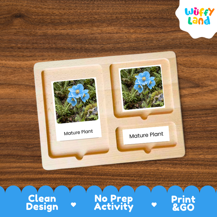A wooden Montessori-style activity board with two photo slots showing blue flowers and the text 'Mature Plant,' placed on a brown wood surface. A 'Wuffy Land' logo appears in the top right, and a blue promotional banner at the bottom reads 'Clean Design,' 'No Prep Activity,' and 'Print & GO.