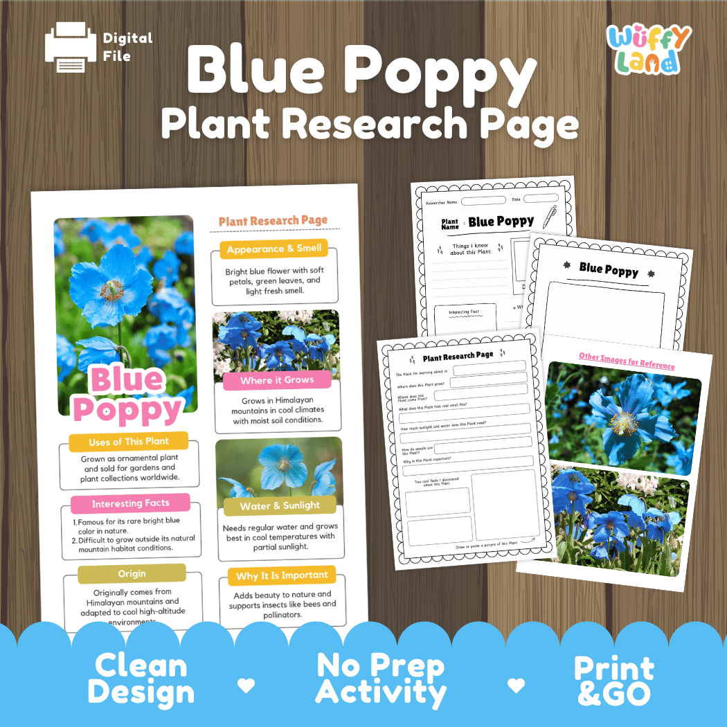 Student plant research page writing worksheets with real close up bright blue poppy blossoms and rocky Himalayan mountain photos, lined note-taking prompts, and drawing frames