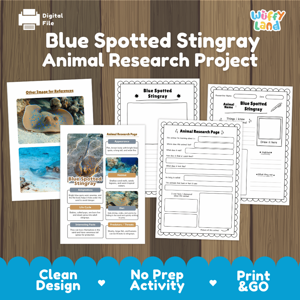 Blue Spotted Stingray Animal Research Project and Worksheets Print and Go Activity