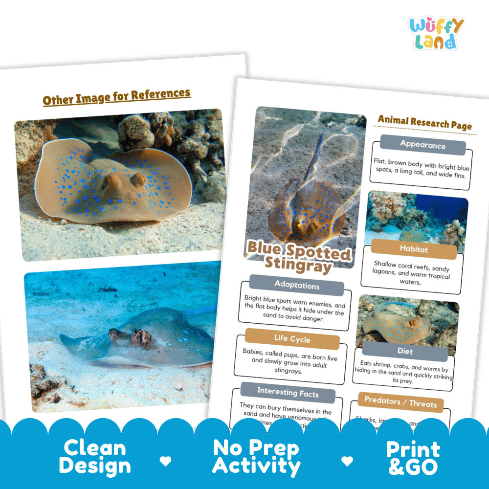 Blue Spotted Stingray Animal Research Project and Worksheets Print and Go Activity