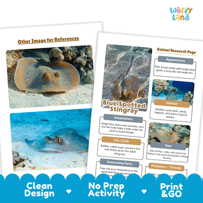 Blue Spotted Stingray Animal Research Project and Worksheets Print and Go Activity