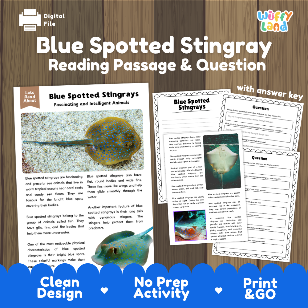 Digital reading activity product cover for 'Blue Spotted Stingray Reading Passage & Question' by Wiffly Land, featuring sample pages with a blue and white stingray photo, text passages, and worksheet questions on a wood background with blue banner accents.