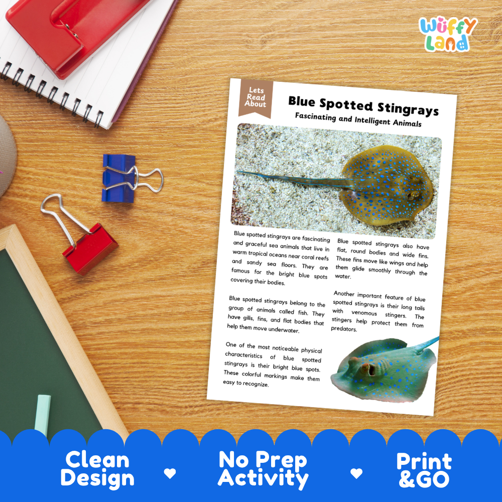 An educational activity sheet titled 'Blue Spotted Stingrays' laid flat on a wooden desk, surrounded by a red notebook, binder clips, and a spiral notebook. The sheet features text, illustrations of blue-spotted stingrays, and a colorful blue banner at the bottom with the text 'Clean Design', 'No Prep Activity', and 'Print & GO'.