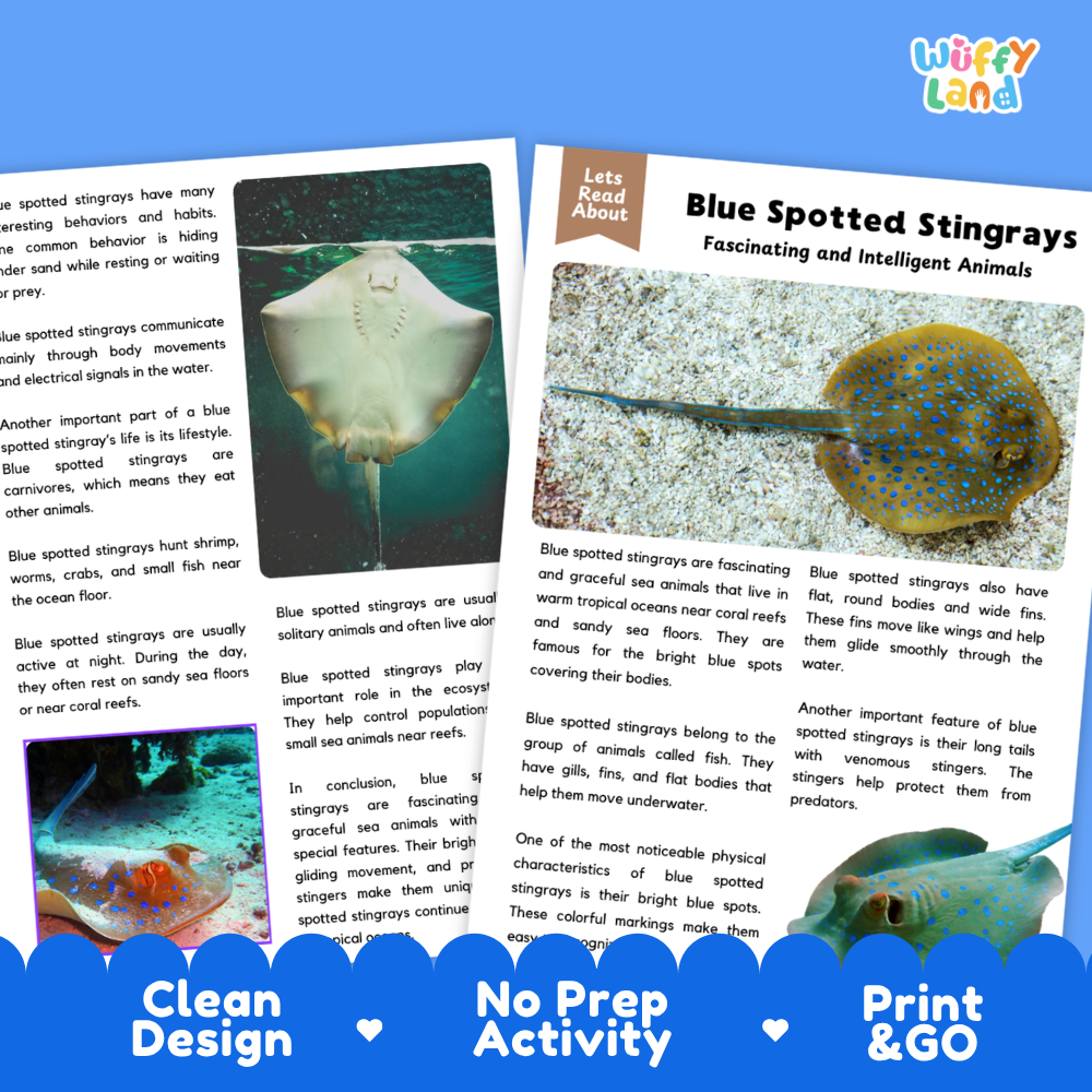 Two educational activity sheets about blue spotted stingrays from 'Let's Read About' by 'Wuffiy Land', displayed on a white background with a blue 'Clean Design | No Prep Activity | Print & Go' banner at the bottom.