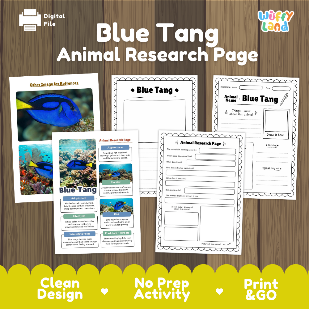 Blue Tang Animal Research Page Worksheets and Fact Sheet