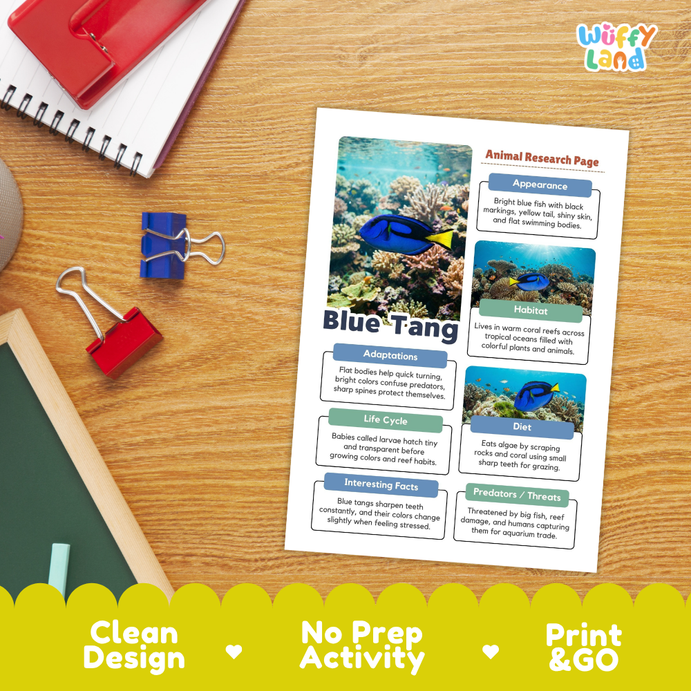 Blue Tang Animal Research Page Worksheets and Fact Sheet