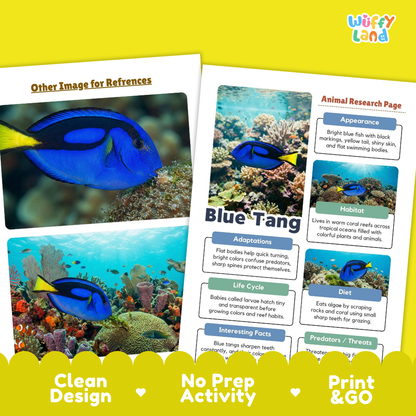 Blue Tang Animal Research Page Worksheets and Fact Sheet