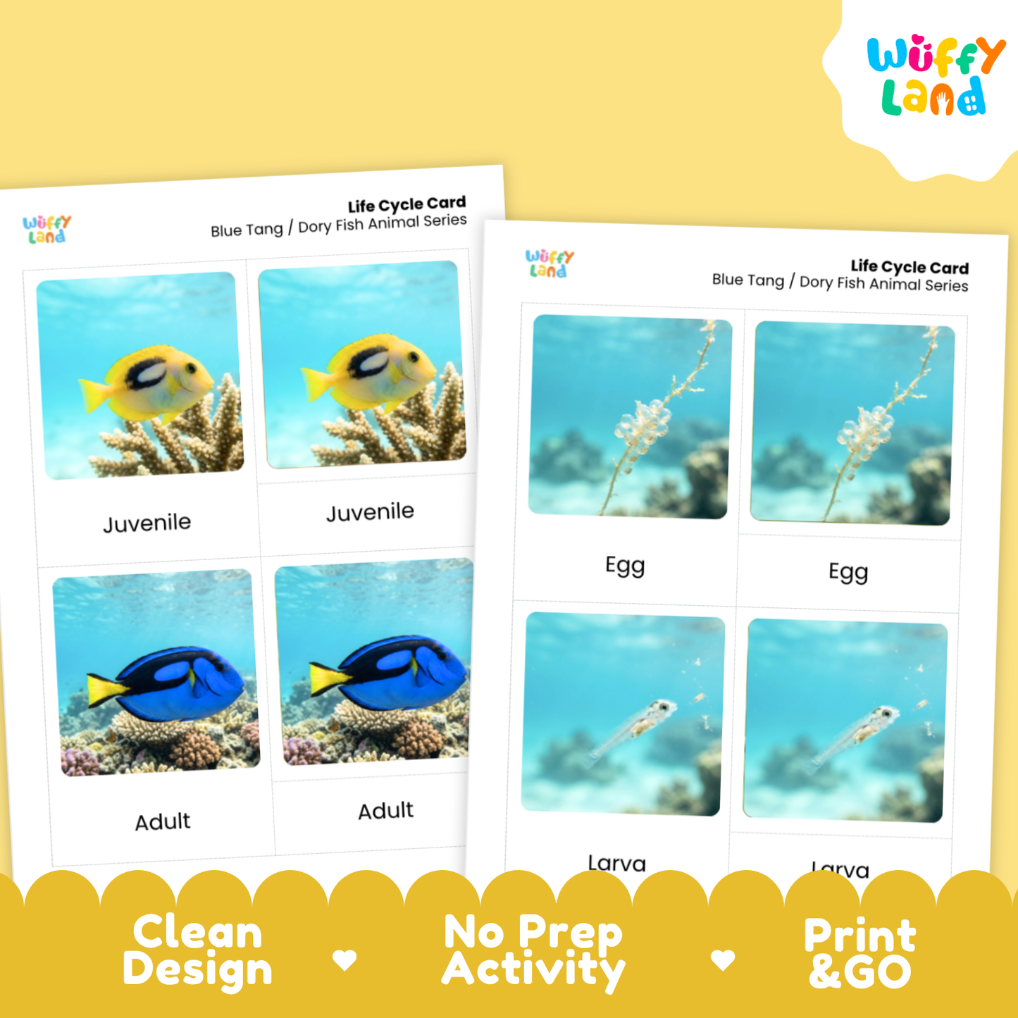Two printed life cycle cards for blue tang / dory fish animal series shown on a yellow background, with the Wüffy Land logo in the top right and promotional text along the bottom.