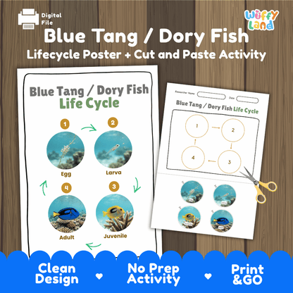 Blue Tang / Dory Fish Life Cycle Poster and Cut and Paste Activity Worksheet