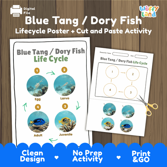 Blue tang dory fish life cycle sequencing reference chart and cut and paste student worksheet with 4 developmental stages