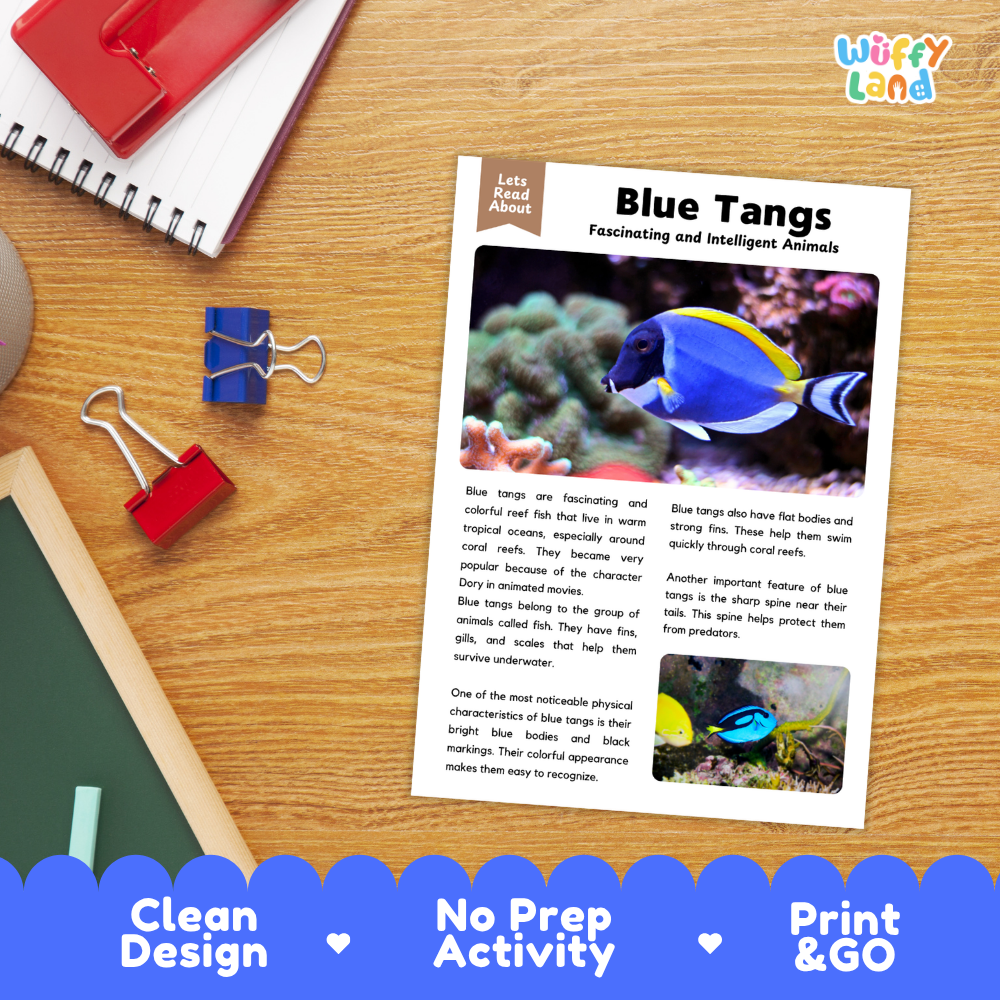 An educational reading activity sheet titled 'Blue Tangs: Fascinating and Intelligent Animals' displayed on a wooden desk. The sheet features colorful blue fish illustrations and text.