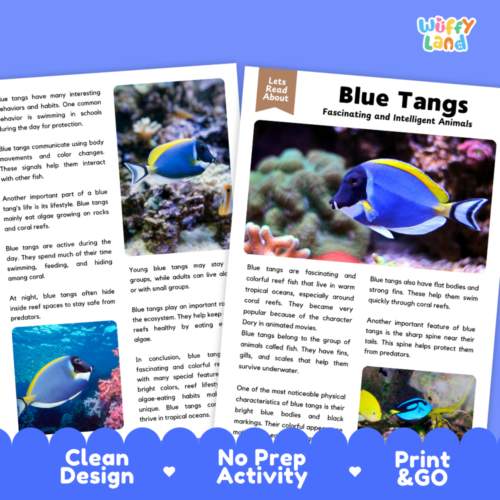 An educational children's book cover titled 'Blue Tangs Fascinating and Intelligent Animals' by Let's Read About, displayed on a blue background with the brand name 'Wiffly Land' in the top right. The book cover features a colorful illustration of blue tangs swimming in coral reef water and includes descriptive text about these marine animals.