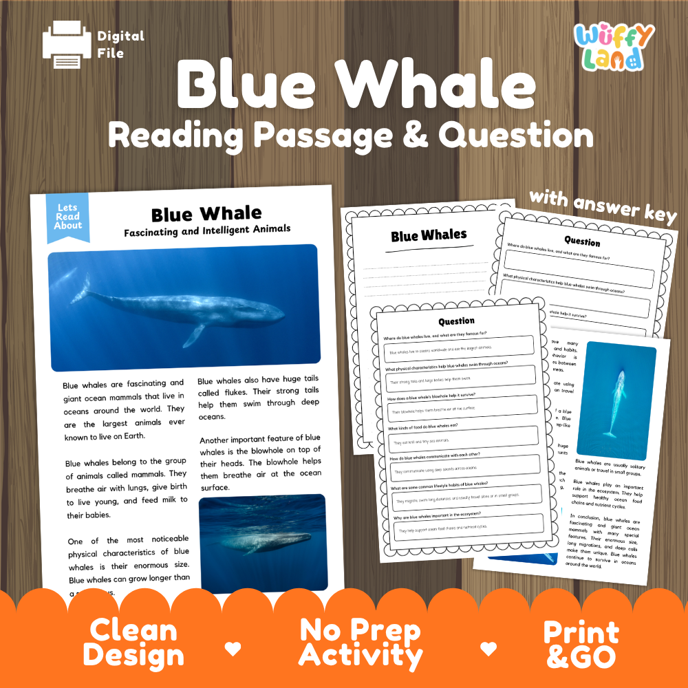 Blue Whale Reading Passage and Comprehension Questions with Answer Key Worksheets