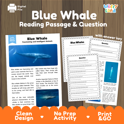 Blue Whale Reading Passage and Comprehension Questions with Answer Key Worksheets