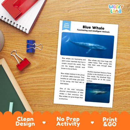 Blue Whale Reading Passage and Comprehension Questions with Answer Key Worksheets