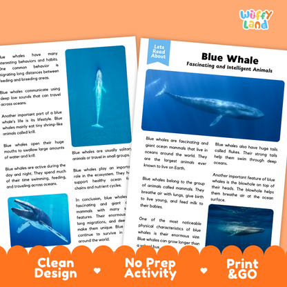 Blue Whale Reading Passage and Comprehension Questions with Answer Key Worksheets