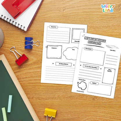 Two printable owl-themed research worksheet pages laid on a wooden desk, surrounded by school supplies including binder clips, a spiral notebook, chalk, and a green board. The worksheets have black outline boxes and text fields such as 'Resources,' 'Brainstorm,' 'Predictions,' and 'My Nowy Owl Research.