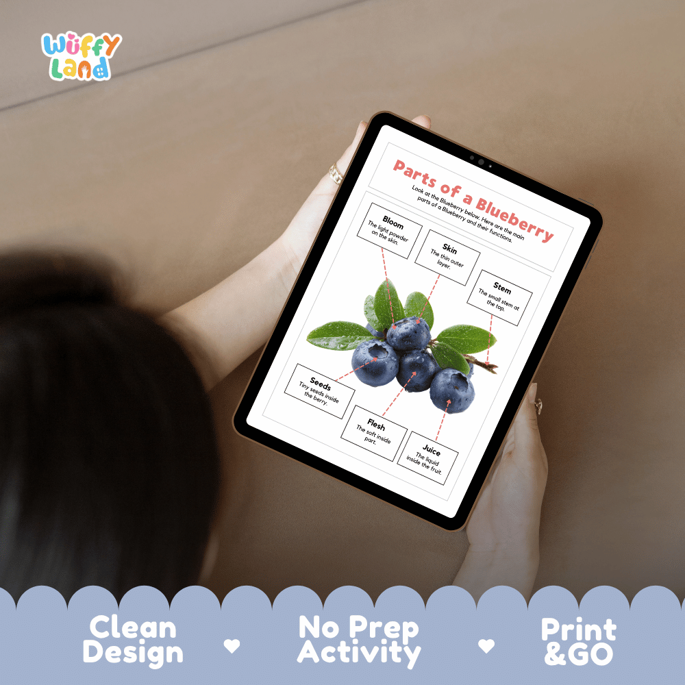 Educational cut and paste blueberry anatomy worksheet with printable word cutout tiles for bloom, skin, stem, flesh, seeds, and juice