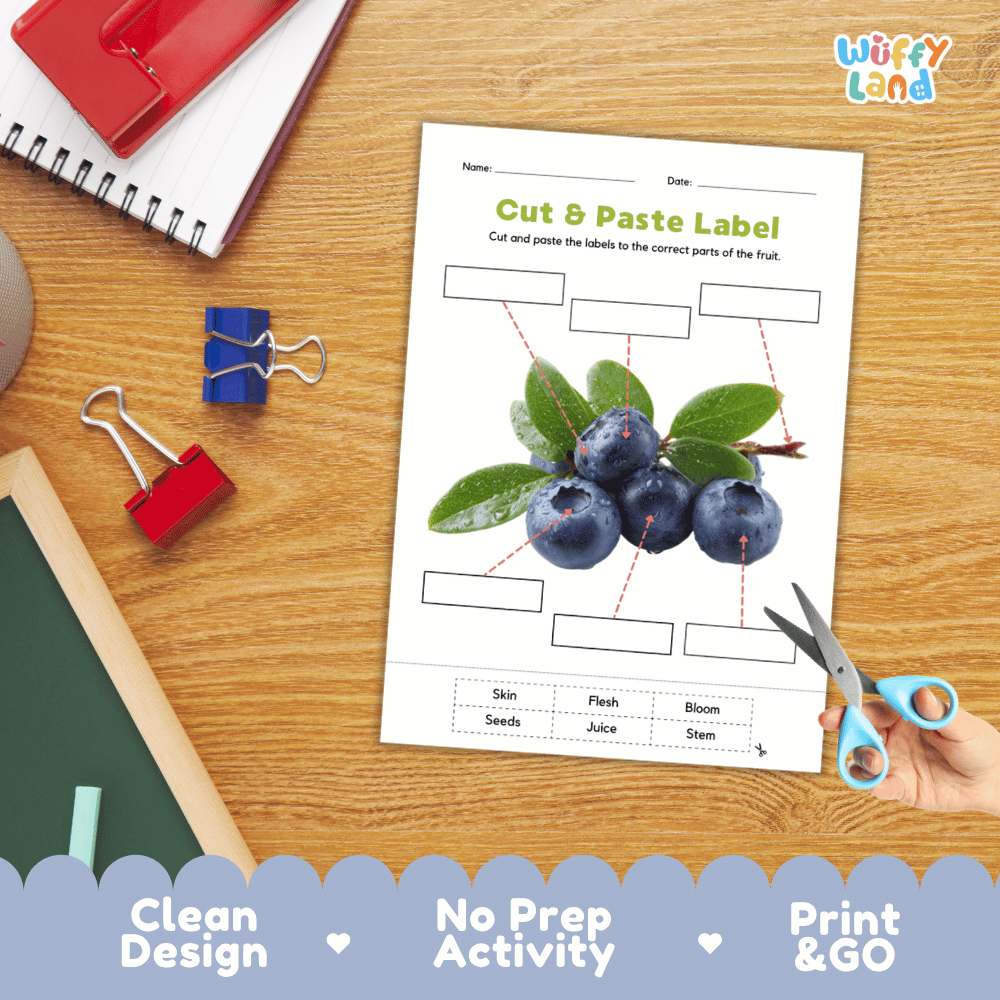 Printable plant biology worksheet showing fresh blueberries on a branch with blank labeling boxes and a vocabulary word bank for writing practice