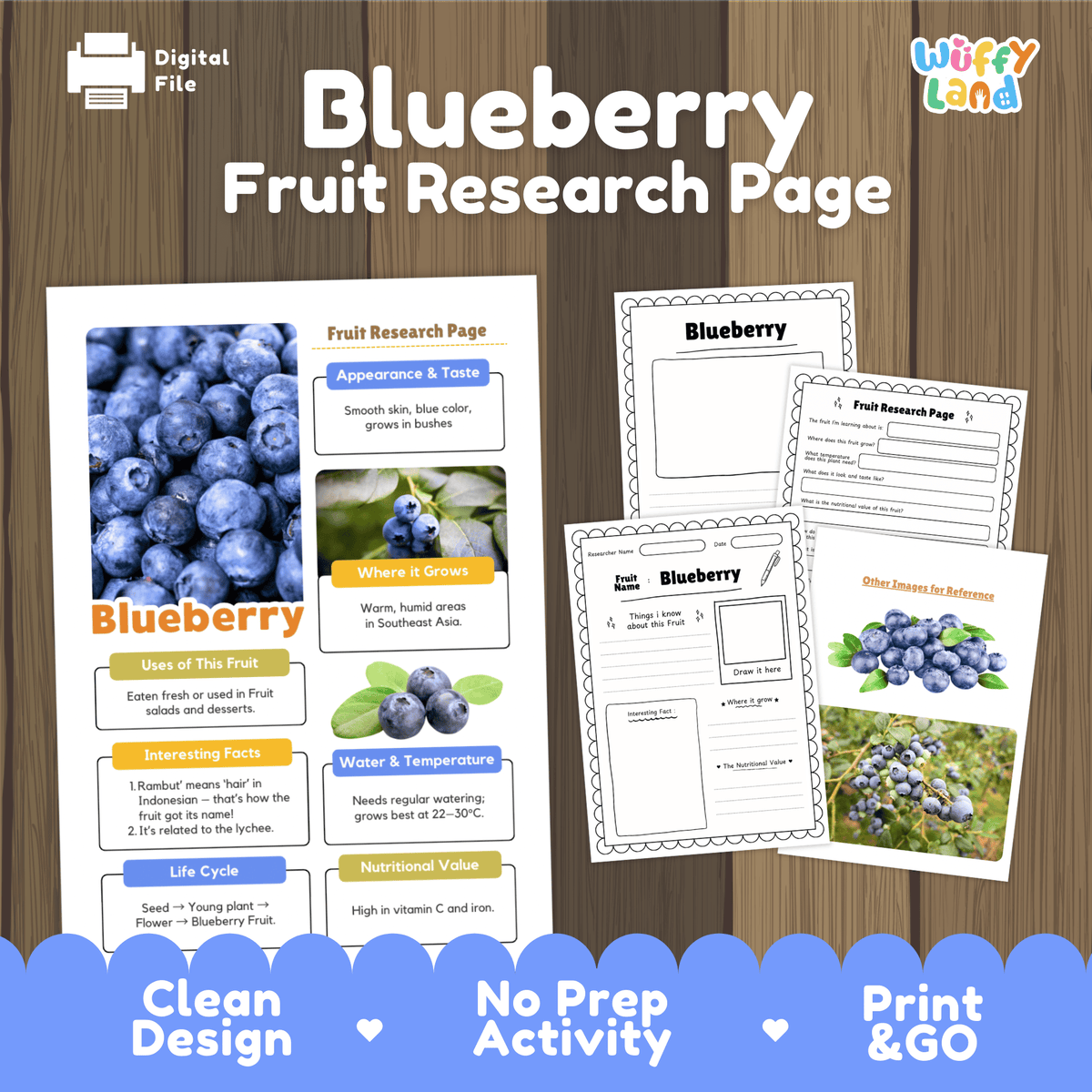Student fruit research printable fact sheet detailing blueberry appearance, acidic soil habitat, warm climate, and nutrition with real images 📝🔍