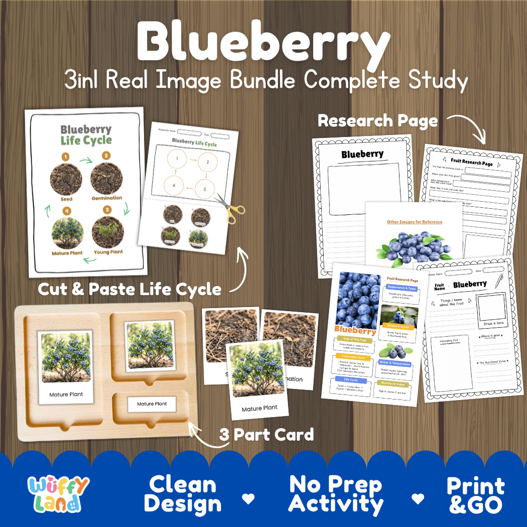 Complete Blueberry 3-in-1 real image study bundle featuring cut and paste worksheets, Montessori 3-part cards, and research pages 🫐🌱