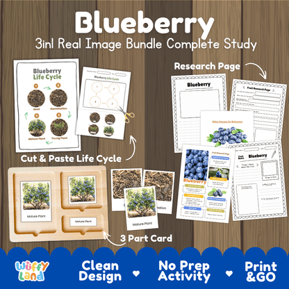 Complete Blueberry 3-in-1 real image study bundle featuring cut and paste worksheets, Montessori 3-part cards, and research pages 🫐🌱