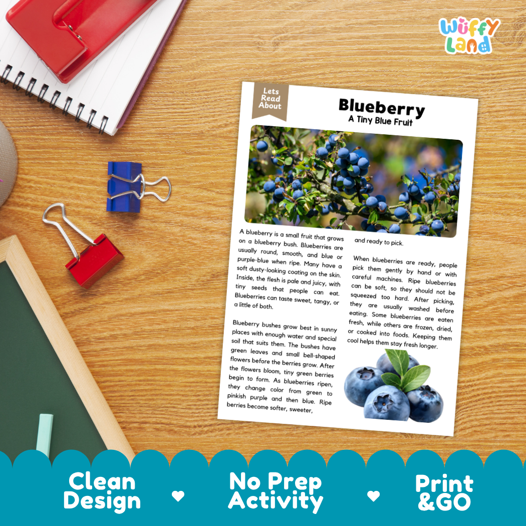 Student reading comprehension worksheet with short-answer questions and lined sections about blueberries