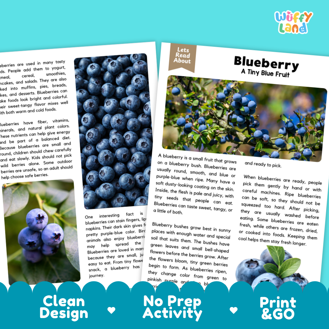 Teacher answer key page showing complete question solutions for blueberry reading comprehension practice