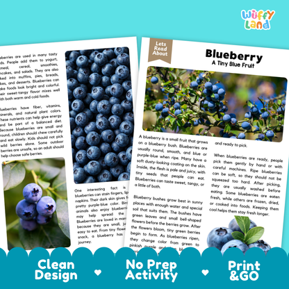 Teacher answer key page showing complete question solutions for blueberry reading comprehension practice
