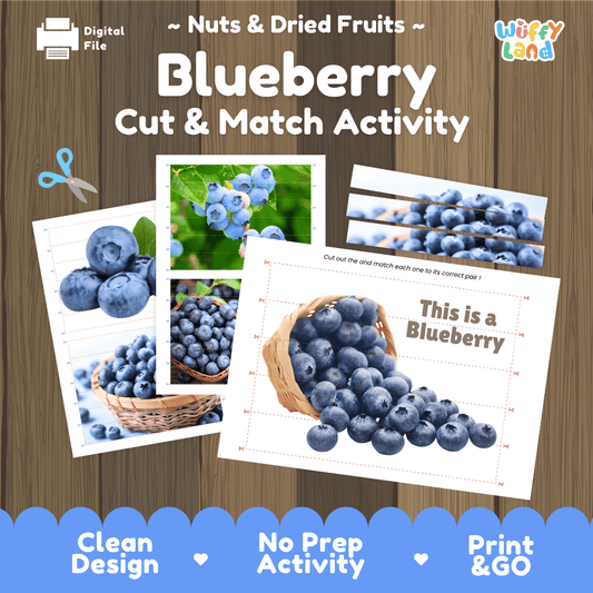 Blueberry Cut and Match Activity Worksheets | Nuts and Dried Fruits Puzzle Printables