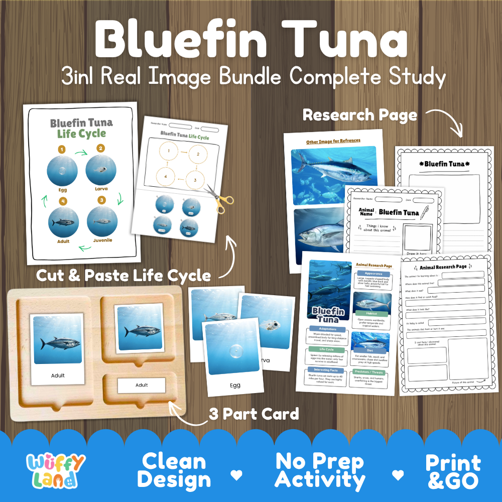 Bluefin tuna 3-in-1 real image bundle complete study cover showing cut and paste life cycle, 3 part cards, and research pages