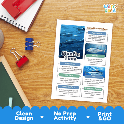 An educational animal research page about Bluefin Tuna laid on a wooden desk, surrounded by school supplies like a spiral notebook, red binder clips, and a red notebook. The page has blue fish photos and labeled text boxes.
