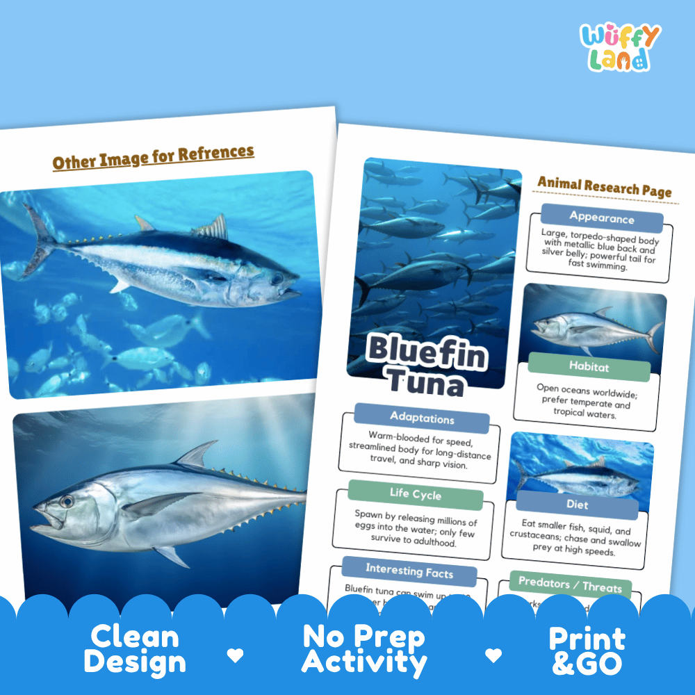 Two educational poster sheets about bluefin tuna displayed on a blue background with promotional text reading 'Clean Design,' 'No Prep Activity,' and 'Print & GO.' The posters feature large tuna photos, labeled fact boxes, and a title reading 'Bluefin Tuna.