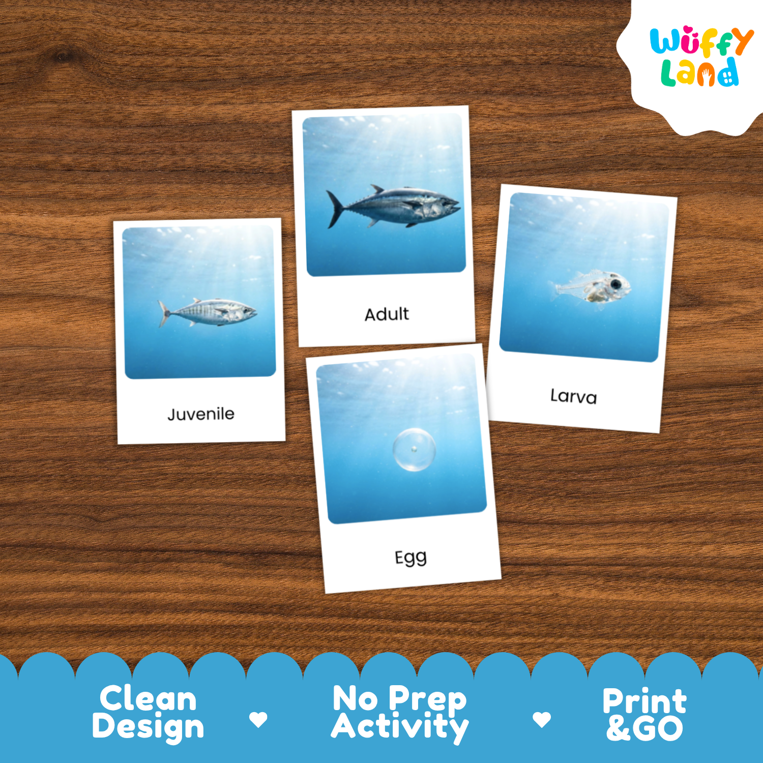 Four educational fish life-cycle cards labeled Juvenile, Adult, Larva, and Egg, displayed on a brown wood background with a Wuffy Land logo in the top right and a blue promotional banner at the bottom.