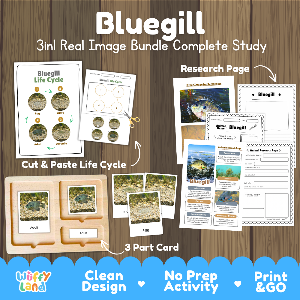 Bluegill 3-in-1 real image bundle complete study cover showing cut and paste life cycle, 3 part cards, and research pages