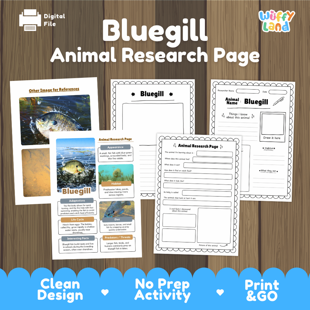 Bluegill Animal Research Page and Worksheets