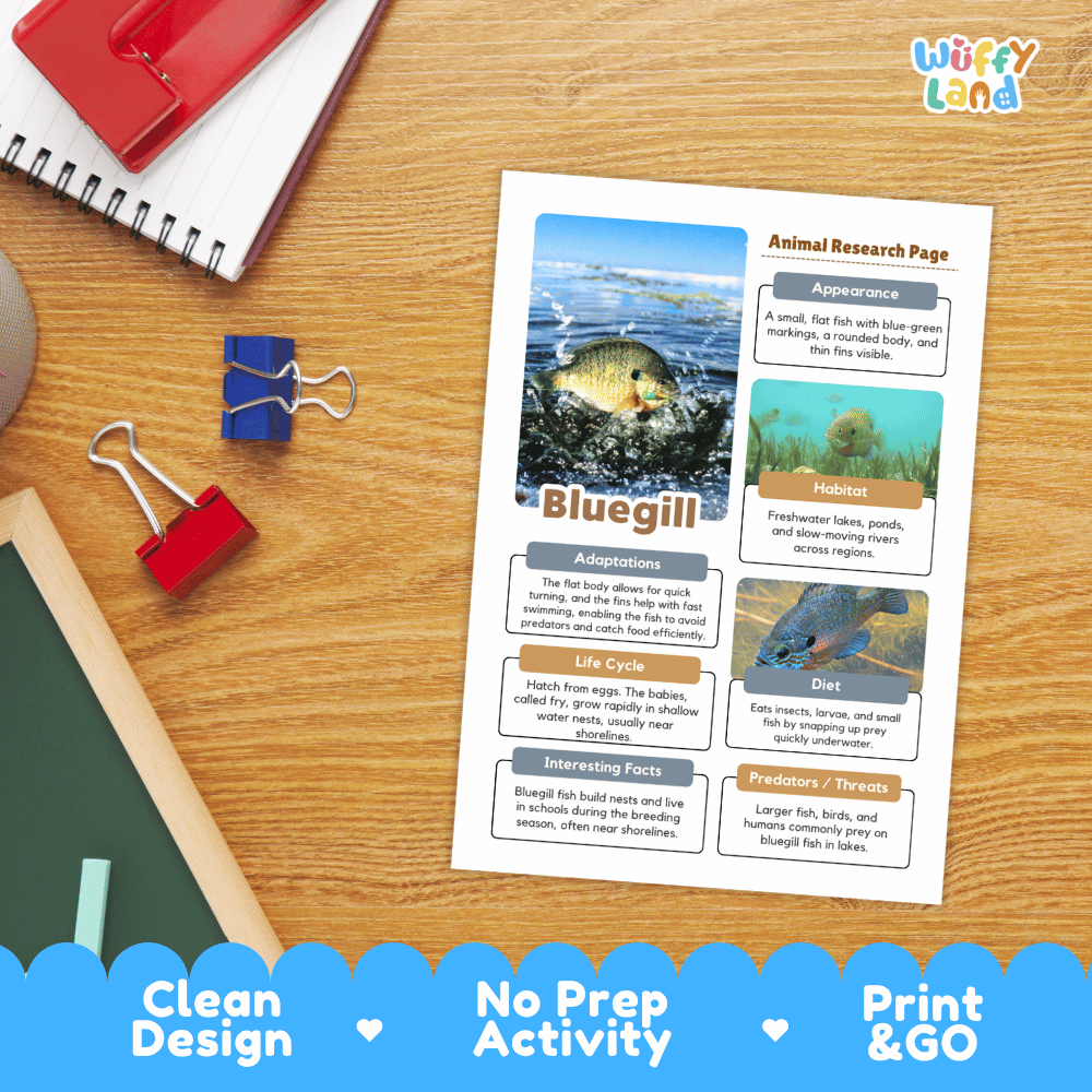 Bluegill Animal Research Page and Worksheets