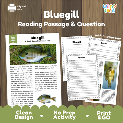 Bluegill Reading Passage and Questions Worksheets with Answer Key