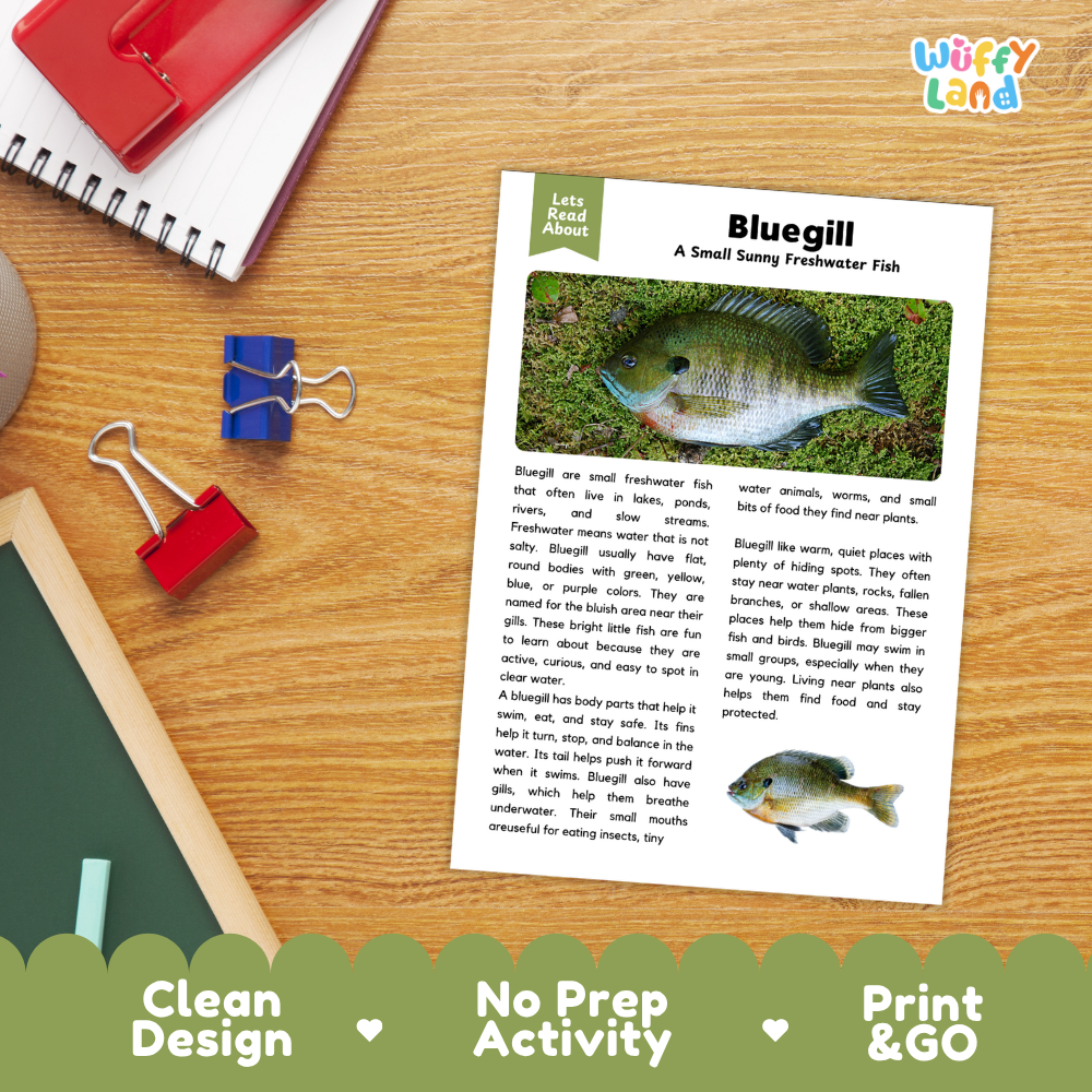 Bluegill Reading Passage and Questions Worksheets with Answer Key
