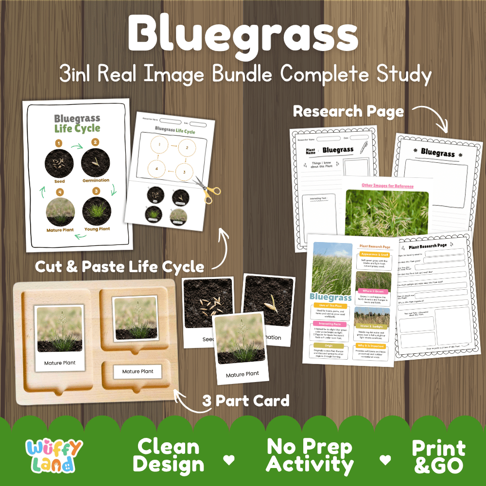 Bluegrass plant 3in1 real image bundle complete study printable featuring life cycle cut and paste worksheets, Montessori 3-part cards, and research pages