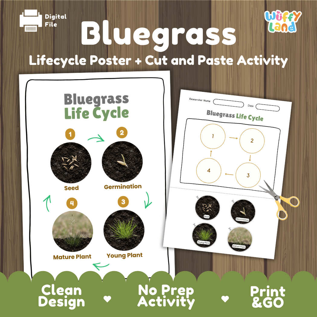 Bluegrass Life Cycle Poster and Cut and Paste Worksheet Activity