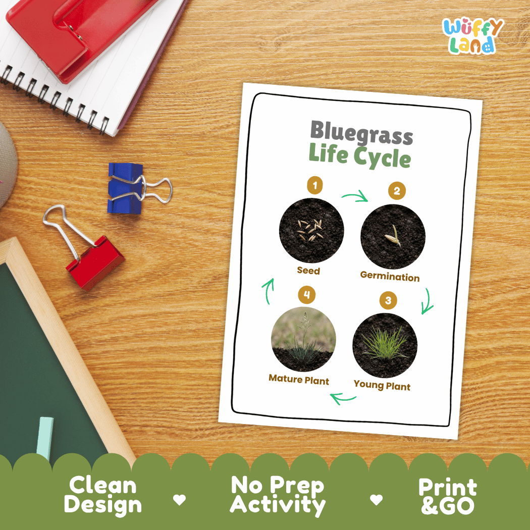 Bluegrass Life Cycle Poster and Cut and Paste Worksheet Activity