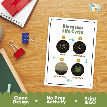 Bluegrass Life Cycle Poster and Cut and Paste Worksheet Activity