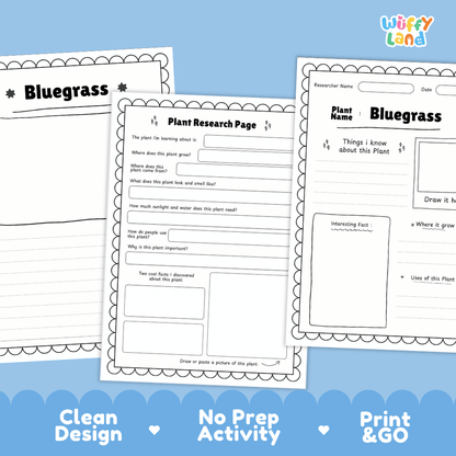 Bluegrass Plant Research Page Worksheets and Fact Sheet