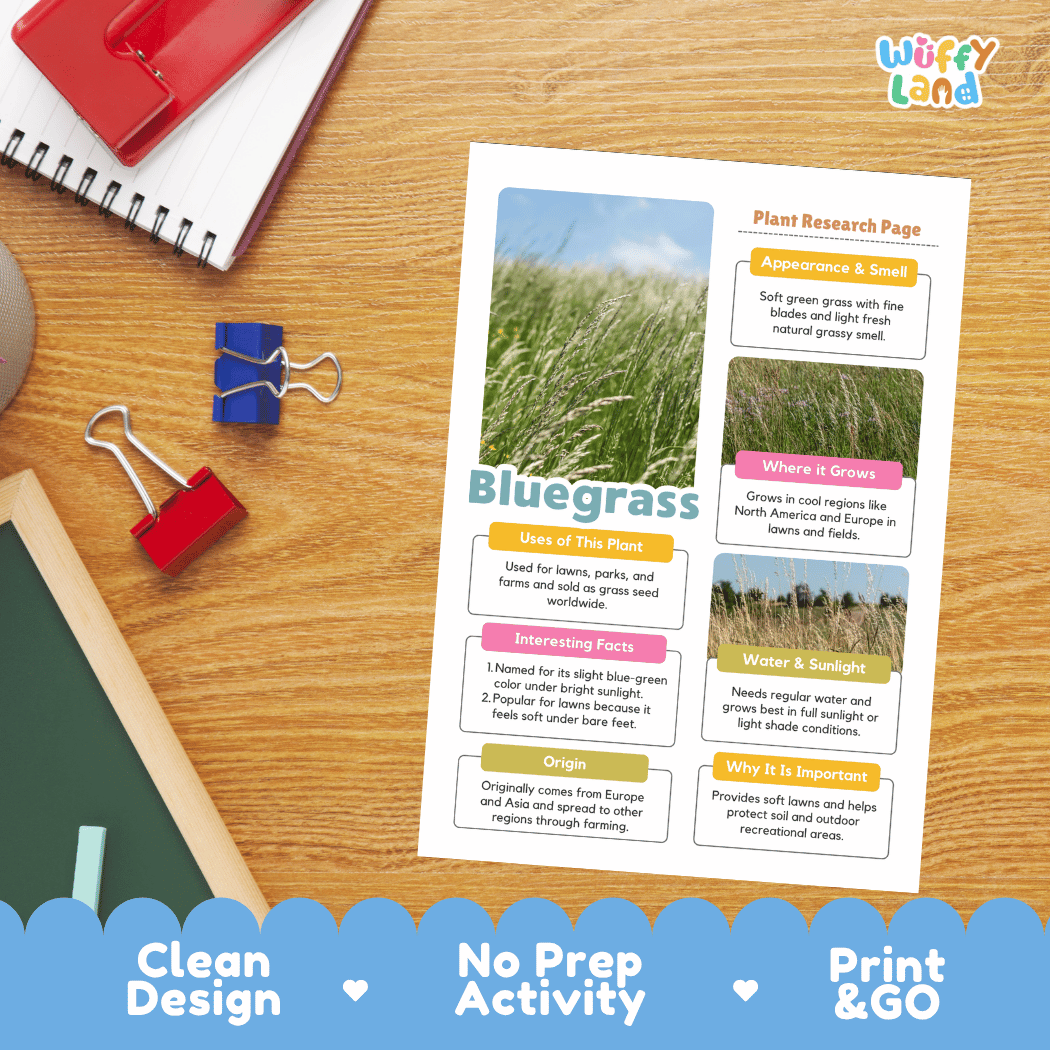 Bluegrass Plant Research Page Worksheets and Fact Sheet