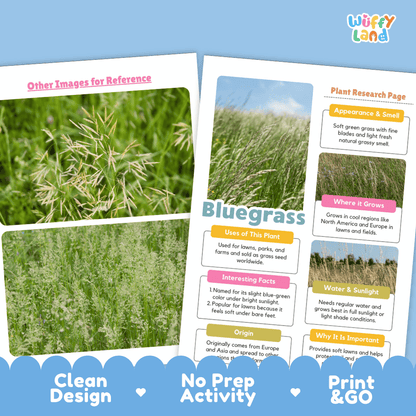Bluegrass Plant Research Page Worksheets and Fact Sheet